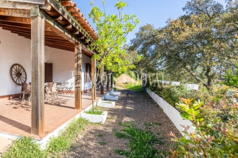 Sierra de Aracena. Huelva. Casas rurales y finca  en venta. Valdelarco.