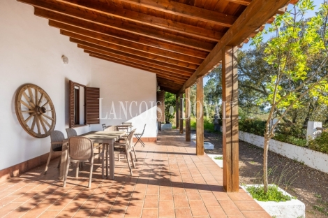 Sierra de Aracena. Huelva. Casas rurales y finca  en venta. Valdelarco.