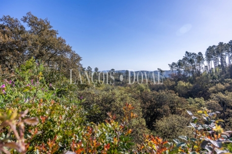 Sierra de Aracena. Huelva. Casas rurales y finca  en venta. Valdelarco.