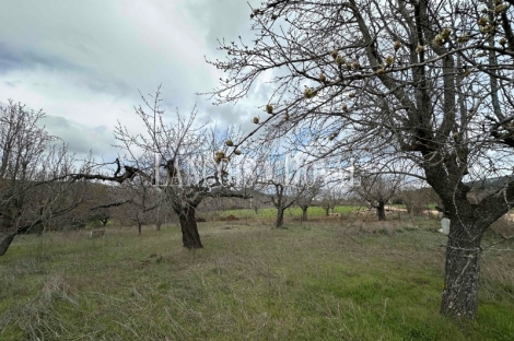 Serranía de Cuenca. Casa rural con encanto rústico en venta. Portilla. 