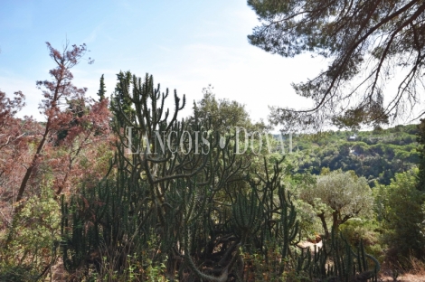 Arenys de Munt. Casa y Finca señorial en venta. Costa de Barcelona· El Maresme