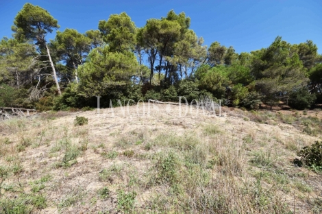Arenys de Munt. Casa y Finca señorial en venta. Costa de Barcelona· El Maresme