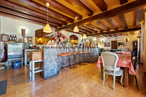 Priorat. Finca histórica en venta destinada a hotel con viñedos y bodegas
