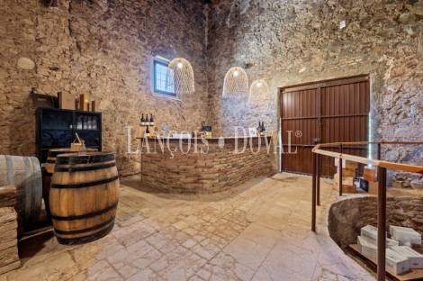 Priorat. Finca histórica en venta destinada a hotel con viñedos y bodegas