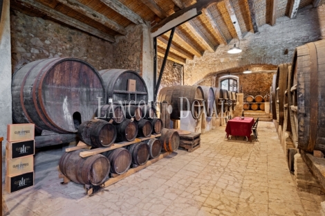 Priorat. Finca histórica en venta destinada a hotel con viñedos y bodegas