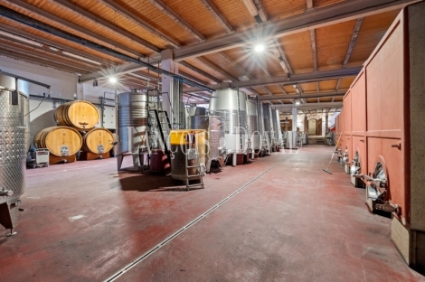 Priorat. Finca histórica en venta destinada a hotel con viñedos y bodegas