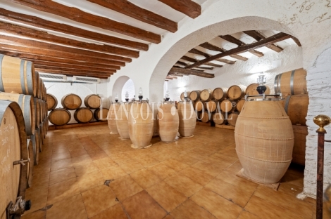 Priorat. Finca histórica en venta destinada a hotel con viñedos y bodegas