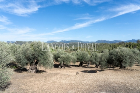 Priorat. Finca histórica en venta destinada a hotel con viñedos y bodegas