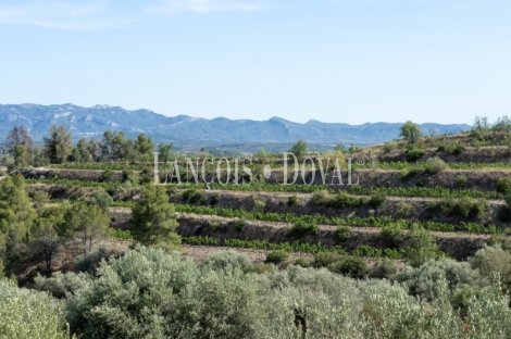 Priorat. Finca histórica en venta destinada a hotel con viñedos y bodegas