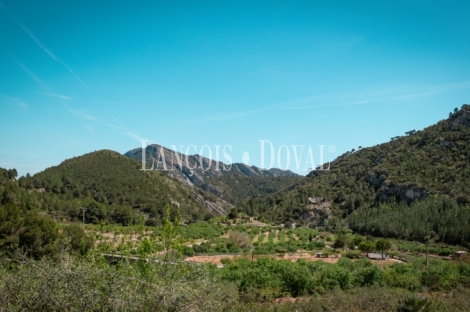 Tarragona. Una exclusiva masía en venta. Hotel boutique.