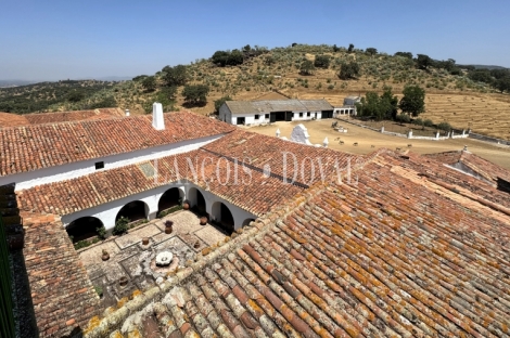 Sevilla. Cazalla de la Sierra. Finca y cortijo en venta con coto de caza