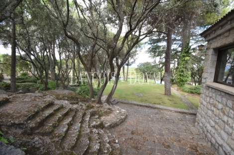 Madrid. Galapagar. Finca en venta con tres casas e instalaciones ganaderas. 