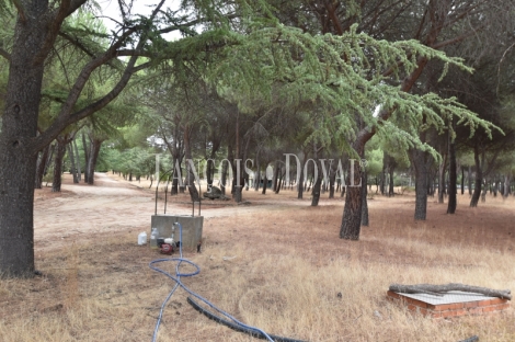 Madrid. Galapagar. Finca en venta con tres casas e instalaciones ganaderas. 