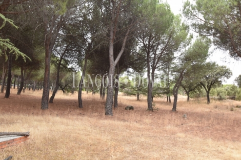 Madrid. Galapagar. Finca en venta con tres casas e instalaciones ganaderas. 