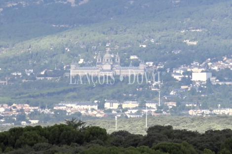 Madrid. Galapagar. Finca en venta con tres casas e instalaciones ganaderas. 