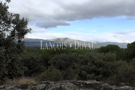 Madrid. Galapagar. Finca en venta con tres casas e instalaciones ganaderas. 