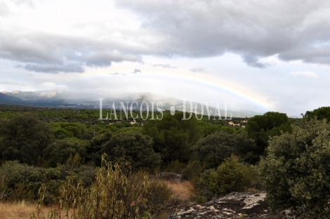 Madrid. Galapagar. Finca en venta con tres casas e instalaciones ganaderas. 