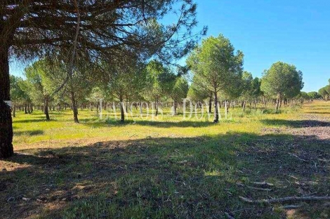 Valladolid Venta finca agrícola de 400 ha.  Dehesa de Cartago Vega Grande