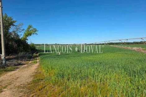 Valladolid Venta finca agrícola de 400 ha.  Dehesa de Cartago Vega Grande