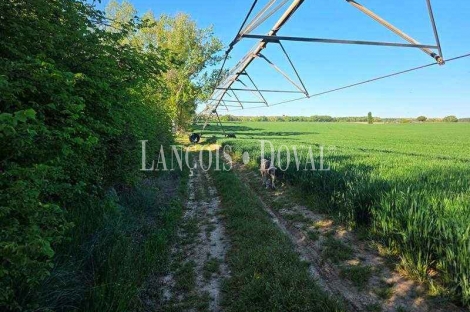 Valladolid Venta finca agrícola de 400 ha.  Dehesa de Cartago Vega Grande