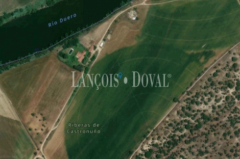 Valladolid Venta finca agrícola de 400 ha.  Dehesa de Cartago Vega Grande
