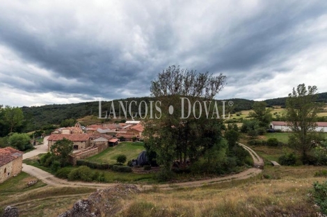 Palencia. Hotel rural con encanto en venta. San Martín de Perapertú.