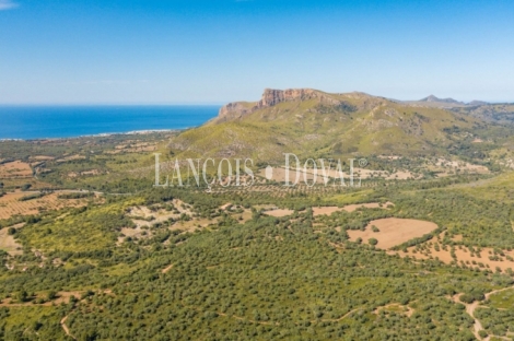 Mallorca. Gran finca en venta. Antigua Possessió, Artà