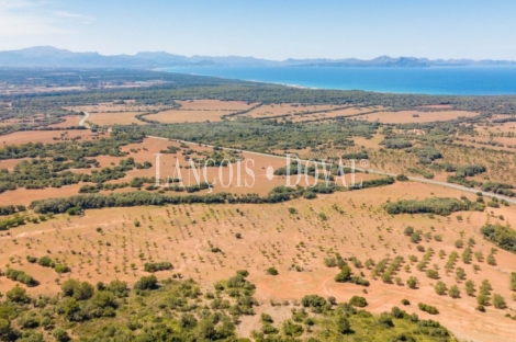 Mallorca. Gran finca en venta. Antigua Possessió, Artà