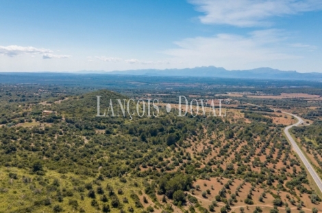 Mallorca. Gran finca en venta. Antigua Possessió, Artà