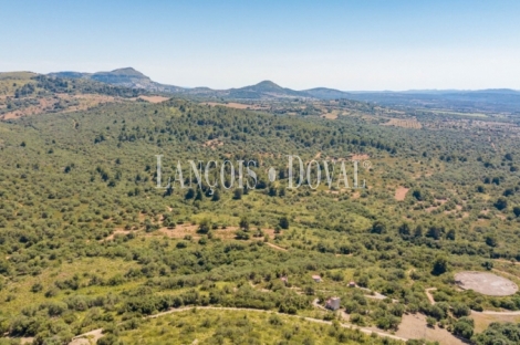 Mallorca. Gran finca en venta. Antigua Possessió, Artà