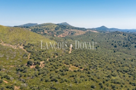 Mallorca. Gran finca en venta. Antigua Possessió, Artà