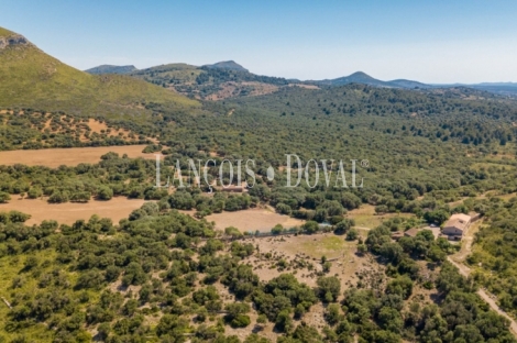 Mallorca. Gran finca en venta. Antigua Possessió, Artà