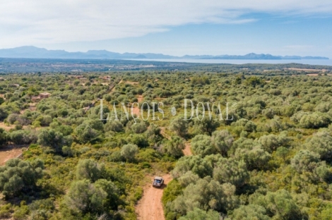 Mallorca. Gran finca en venta. Antigua Possessió, Artà