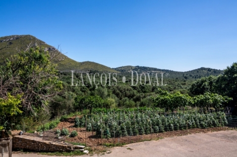 Mallorca. Gran finca en venta. Antigua Possessió, Artà