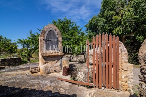 Mallorca. Gran finca en venta. Antigua Possessió, Artà