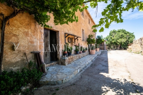 Mallorca. Gran finca en venta. Antigua Possessió, Artà