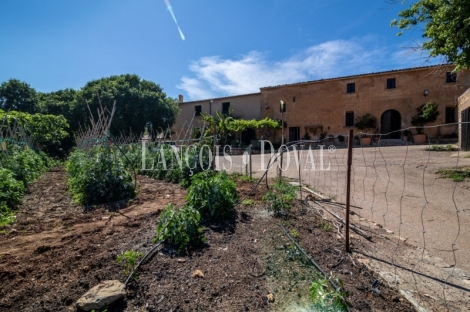 Mallorca. Gran finca en venta. Antigua Possessió, Artà