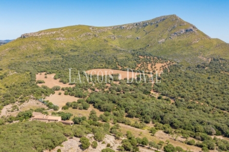 Mallorca. Gran finca en venta. Antigua Possessió, Artà