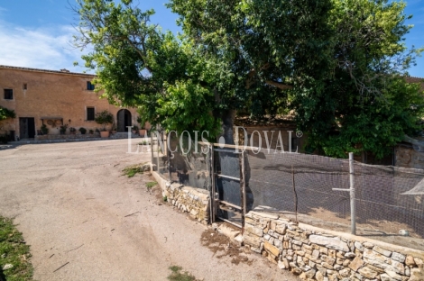 Mallorca. Gran finca en venta. Antigua Possessió, Artà