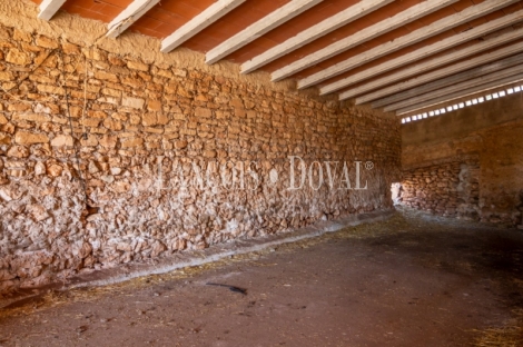 Mallorca. Gran finca en venta. Antigua Possessió, Artà