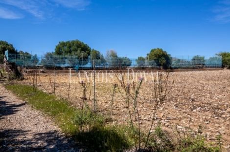 Mallorca. Gran finca en venta. Antigua Possessió, Artà