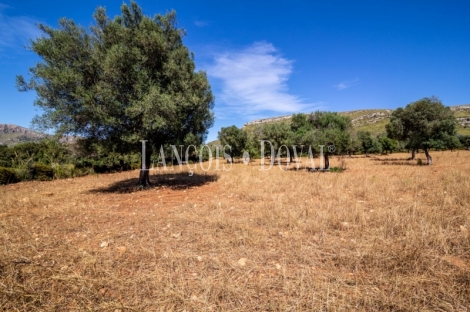 Mallorca. Gran finca en venta. Antigua Possessió, Artà