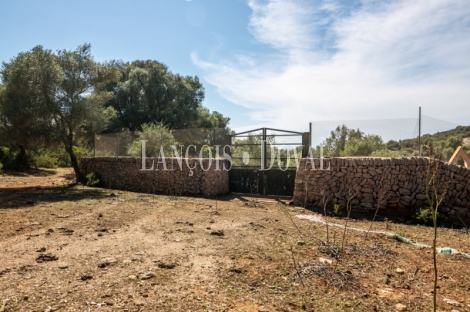 Mallorca. Gran finca en venta. Antigua Possessió, Artà