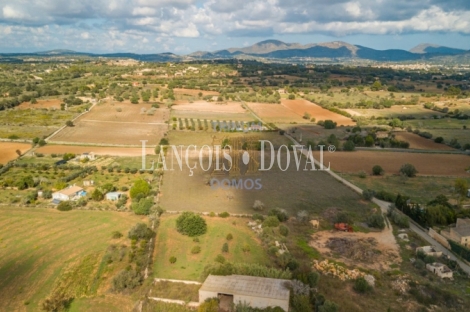  Mallorca. Venta finca con proyecto para agroturismo. Sant Llorenç des Cardassar