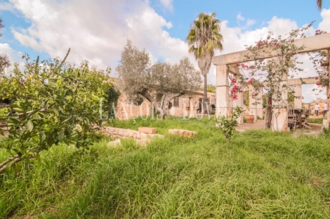  Mallorca. Venta finca con proyecto para agroturismo. Sant Llorenç des Cardassar