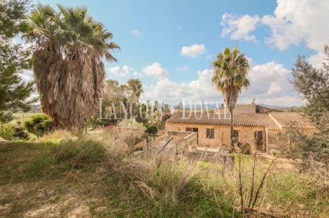  Mallorca. Venta finca con proyecto para agroturismo. Sant Llorenç des Cardassar