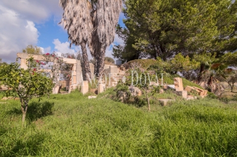  Mallorca. Venta finca con proyecto para agroturismo. Sant Llorenç des Cardassar