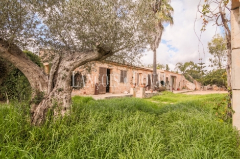  Mallorca. Venta finca con proyecto para agroturismo. Sant Llorenç des Cardassar