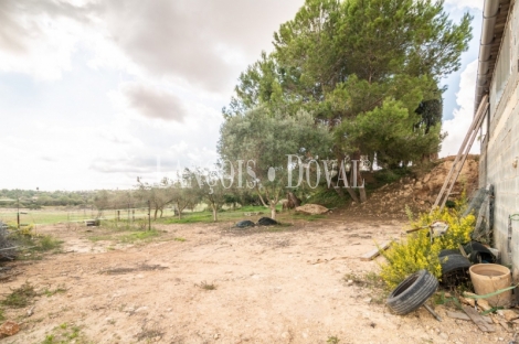  Mallorca. Venta finca con proyecto para agroturismo. Sant Llorenç des Cardassar