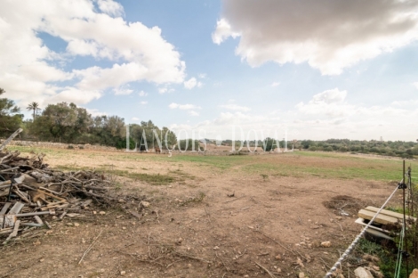  Mallorca. Venta finca con proyecto para agroturismo. Sant Llorenç des Cardassar